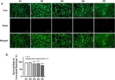 How to make full use of dental pulp stem cells: an optimized cell culture method based on explant technology